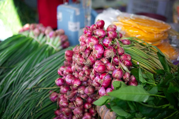Quels sont les critères pour sélectionner un cuiseur sous vide avec pompe intégrée pour une cuisson précise?